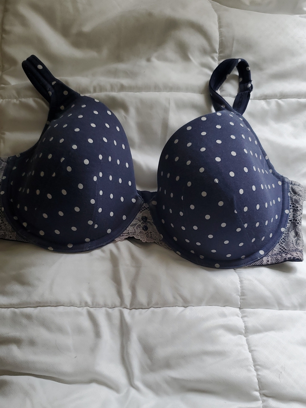 Cacique Navy Polka Dot Lace-Trim Molded T-Shirt Bra